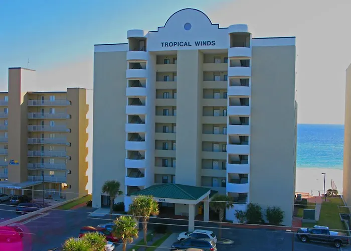 Tropical Winds 701